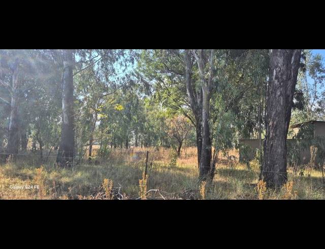 FARM FOR SALE IN MIDVAAL